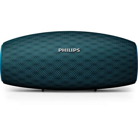 wireless portable speaker BT6900A/37 .